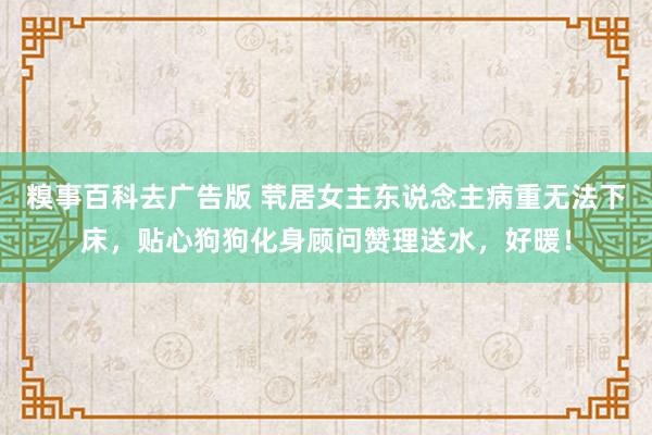 糗事百科去广告版 茕居女主东说念主病重无法下床，贴心狗狗化身顾问赞理送水，好暖！