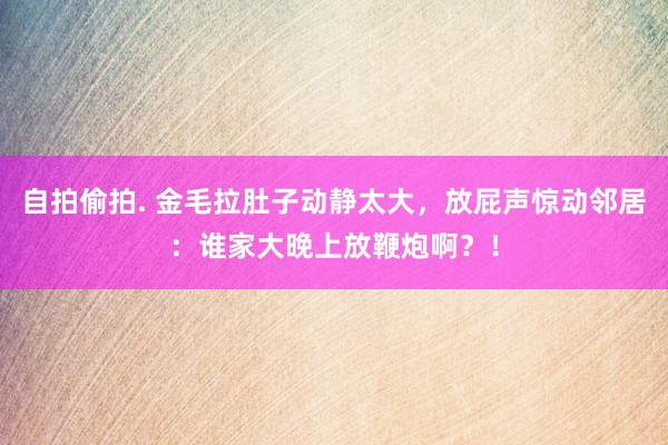 自拍偷拍. 金毛拉肚子动静太大，放屁声惊动邻居：谁家大晚上放鞭炮啊？！