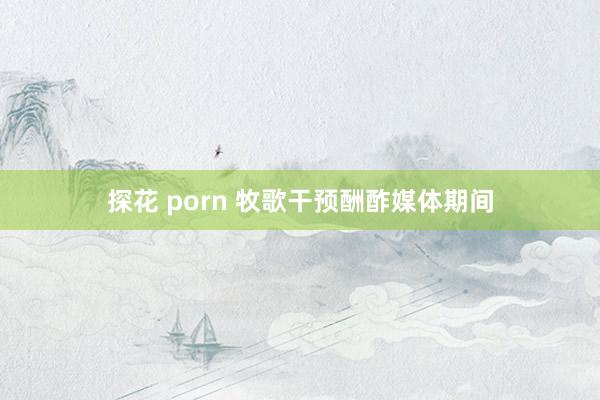 探花 porn 牧歌干预酬酢媒体期间