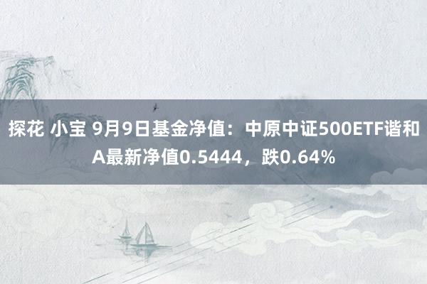 探花 小宝 9月9日基金净值：中原中证500ETF谐和A最新净值0.5444，跌0.64%