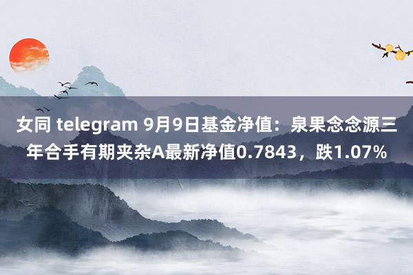 女同 telegram 9月9日基金净值：泉果念念源三年合手有期夹杂A最新净值0.7843，跌1.07%