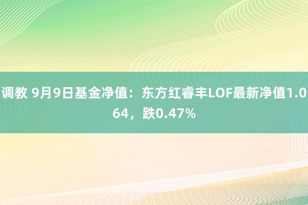 调教 9月9日基金净值：东方红睿丰LOF最新净值1.064，跌0.47%