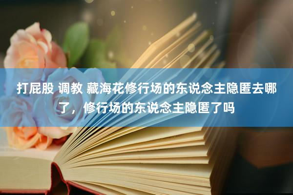 打屁股 调教 藏海花修行场的东说念主隐匿去哪了，修行场的东说念主隐匿了吗