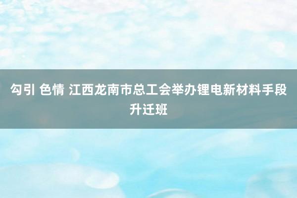 勾引 色情 江西龙南市总工会举办锂电新材料手段升迁班