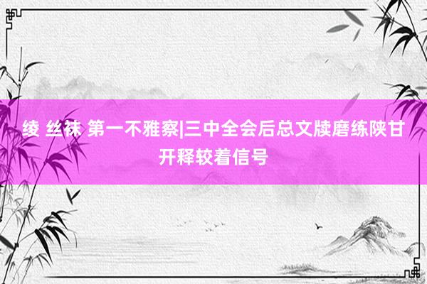 绫 丝袜 第一不雅察|三中全会后总文牍磨练陕甘开释较着信号