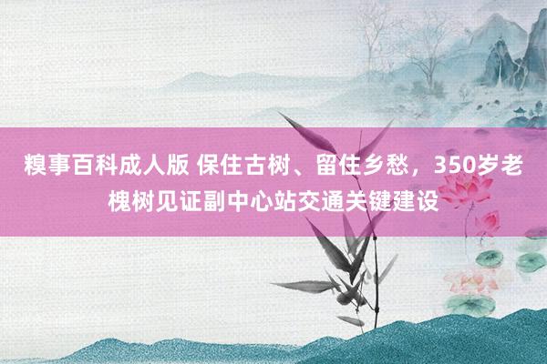 糗事百科成人版 保住古树、留住乡愁，350岁老槐树见证副中心站交通关键建设