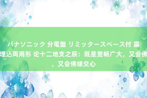 パナソニック 分電盤 リミッタースペース付 露出・半埋込両用形 论十二地支之辰：既是宽畅广大，又会佛缘交心