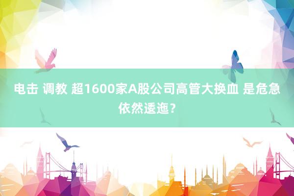 电击 调教 超1600家A股公司高管大换血 是危急依然逶迤？