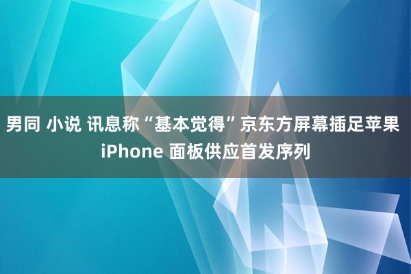 男同 小说 讯息称“基本觉得”京东方屏幕插足苹果 iPhone 面板供应首发序列