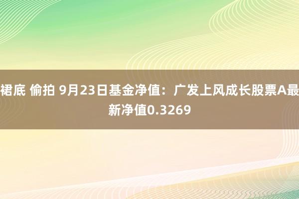 裙底 偷拍 9月23日基金净值：广发上风成长股票A最新净值0.3269