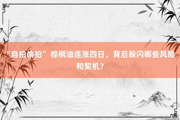 “自拍偷拍” 棕榈油连涨四日，背后躲闪哪些风险和契机？