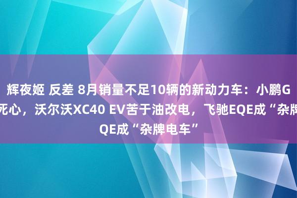 辉夜姬 反差 8月销量不足10辆的新动力车：小鹏G3职业死心，沃尔沃XC40 EV苦于油改电，飞驰EQE成“杂牌电车”