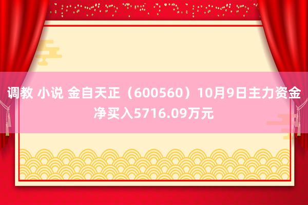 调教 小说 金自天正（600560）10月9日主力资金净买入5716.09万元