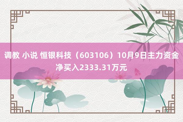 调教 小说 恒银科技（603106）10月9日主力资金净买入2333.31万元