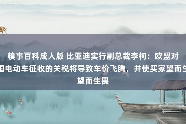 糗事百科成人版 比亚迪实行副总裁李柯：欧盟对中国电动车征收的关税将导致车价飞腾，并使买家望而生畏