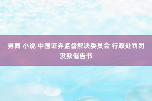 男同 小说 中国证券监督解决委员会 行政处罚罚没款催告书