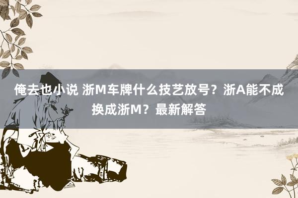 俺去也小说 浙M车牌什么技艺放号？浙A能不成换成浙M？最新解答