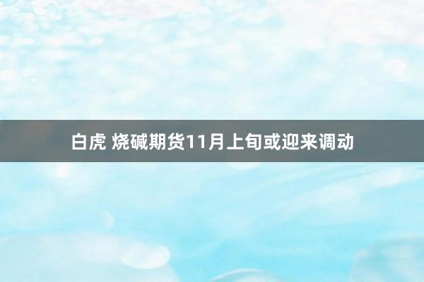 白虎 烧碱期货11月上旬或迎来调动