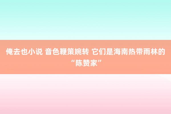 俺去也小说 音色鞭策婉转 它们是海南热带雨林的“陈赞家”