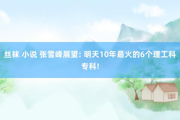 丝袜 小说 张雪峰展望: 明天10年最火的6个理工科专科!