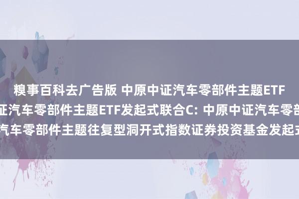 糗事百科去广告版 中原中证汽车零部件主题ETF发起式联合A，中原中证汽车零部件主题ETF发起式联合C: 中原中证汽车零部件主题往复型洞开式指数证券投资基金发起式联合基金基金合同