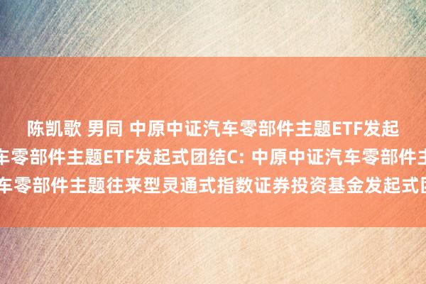 陈凯歌 男同 中原中证汽车零部件主题ETF发起式团结A，中原中证汽车零部件主题ETF发起式团结C: 中原中证汽车零部件主题往来型灵通式指数证券投资基金发起式团结基金托管条约