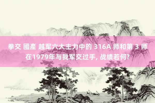 拳交 國產 越军六大主力中的 316A 师和第 3 师在1979年与我军交过手， 战绩若何?