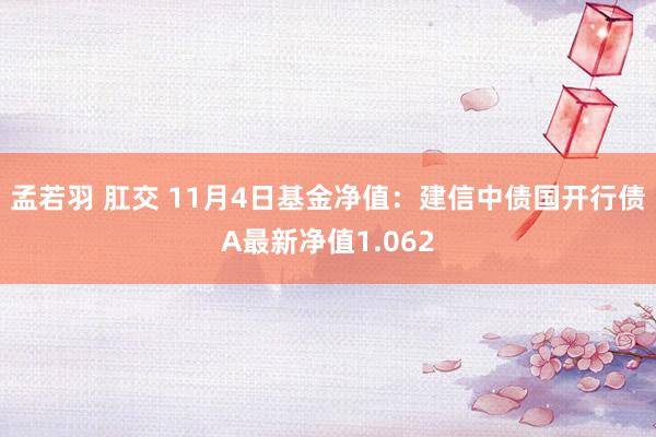 孟若羽 肛交 11月4日基金净值：建信中债国开行债A最新净值1.062