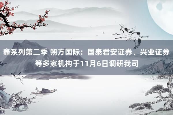 鑫系列第二季 朔方国际：国泰君安证券、兴业证券等多家机构于11月6日调研我司