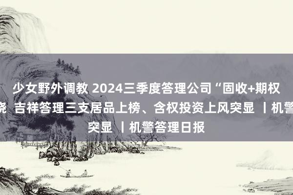 少女野外调教 2024三季度答理公司“固收+期权”榜单揭晓  吉祥答理三支居品上榜、含权投资上风突显 丨机警答理日报