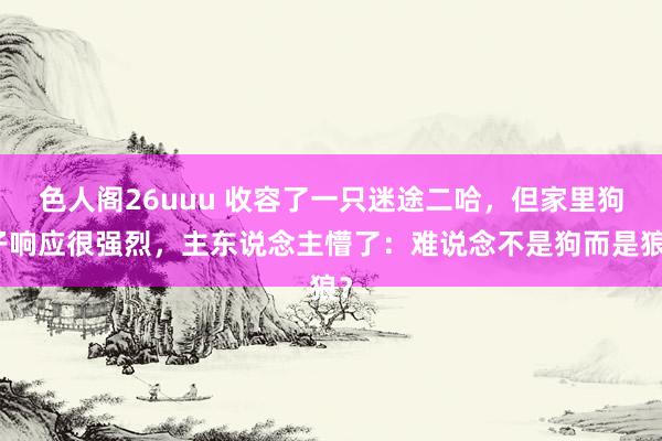 色人阁26uuu 收容了一只迷途二哈，但家里狗子响应很强烈，主东说念主懵了：难说念不是狗而是狼？