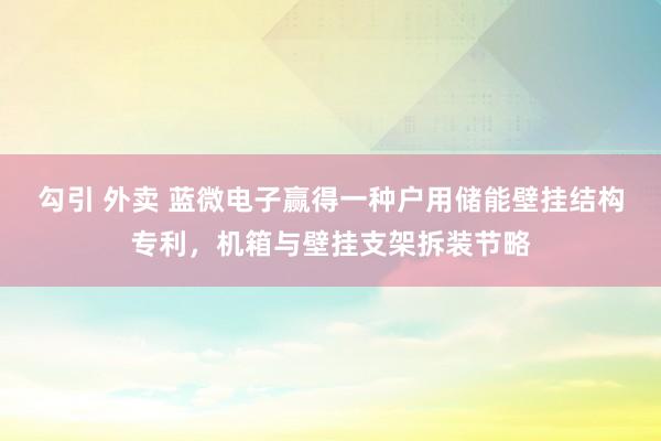 勾引 外卖 蓝微电子赢得一种户用储能壁挂结构专利，机箱与壁挂支架拆装节略