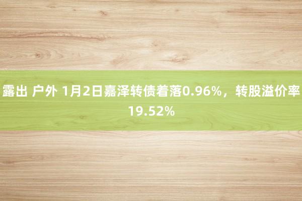 露出 户外 1月2日嘉泽转债着落0.96%，转股溢价率19.52%