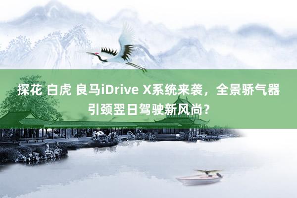 探花 白虎 良马iDrive X系统来袭，全景骄气器引颈翌日驾驶新风尚？