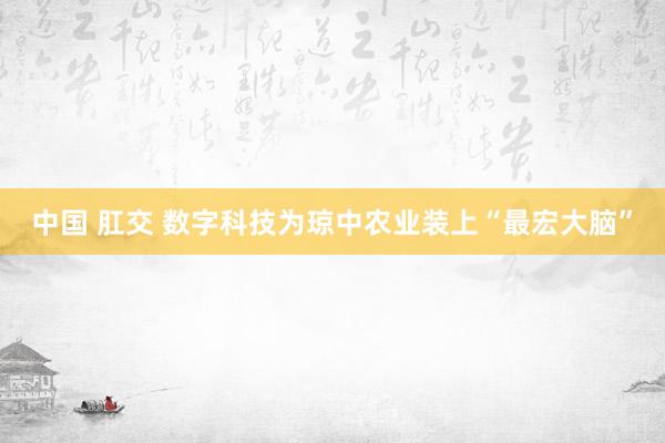 中国 肛交 数字科技为琼中农业装上“最宏大脑”