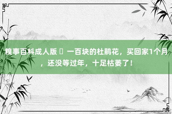 糗事百科成人版 ​一百块的杜鹃花，买回家1个月，还没等过年，十足枯萎了！