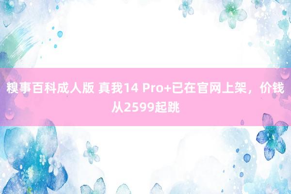 糗事百科成人版 真我14 Pro+已在官网上架，价钱从2599起跳