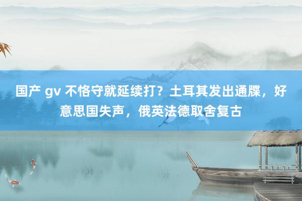 国产 gv 不恪守就延续打？土耳其发出通牒，好意思国失声，俄英法德取舍复古